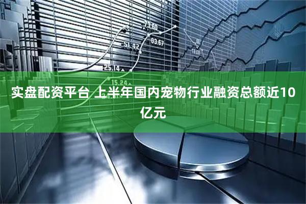 实盘配资平台 上半年国内宠物行业融资总额近10亿元
