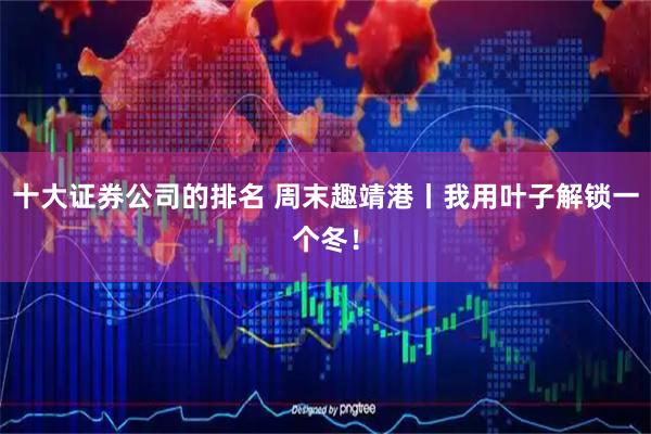十大证券公司的排名 周末趣靖港丨我用叶子解锁一个冬！