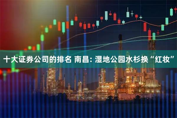 十大证券公司的排名 南昌: 湿地公园水杉换“红妆”