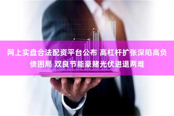 网上实盘合法配资平台公布 高杠杆扩张深陷高负债困局 双良节能豪赌光伏进退两难