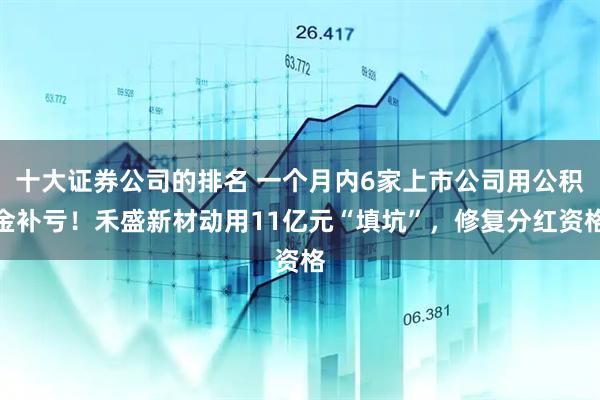 十大证券公司的排名 一个月内6家上市公司用公积金补亏！禾盛新材动用11亿元“填坑”，修复分红资格